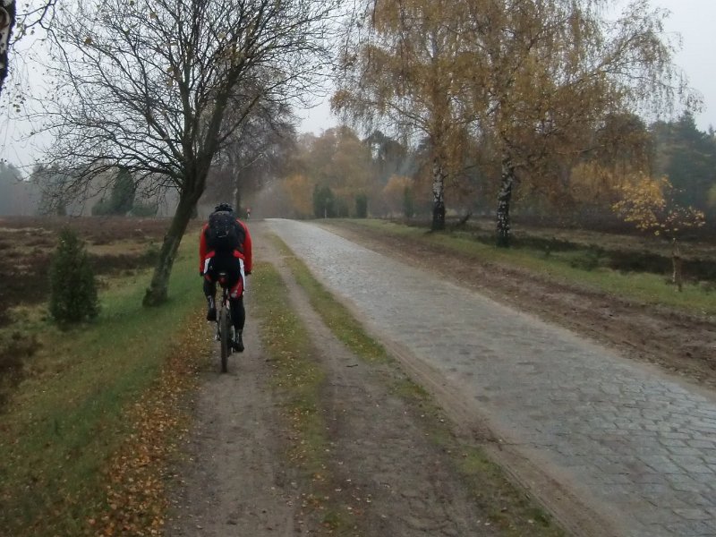 Wilseder Berg 1 2010 049